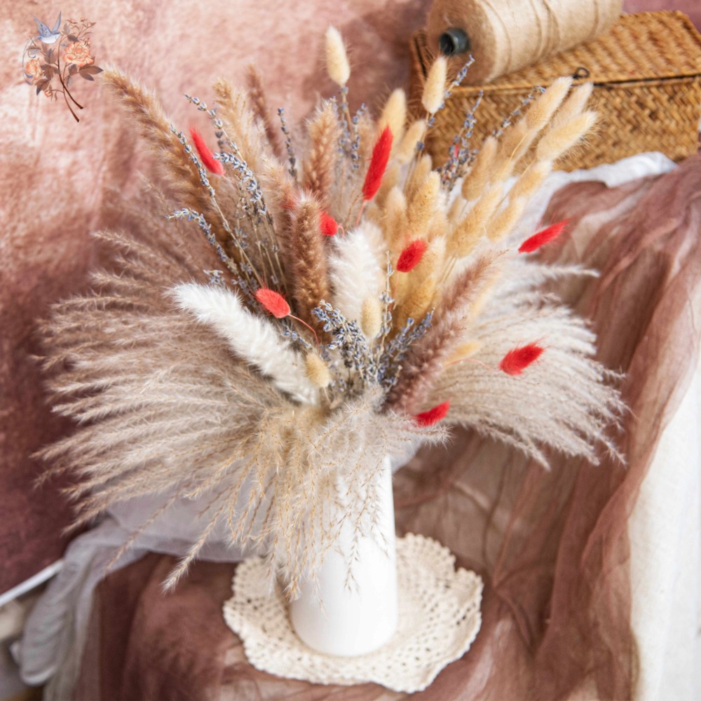 Natural Pampas Lavender Dried  - đánh giá và giá Pampas Grass Decor